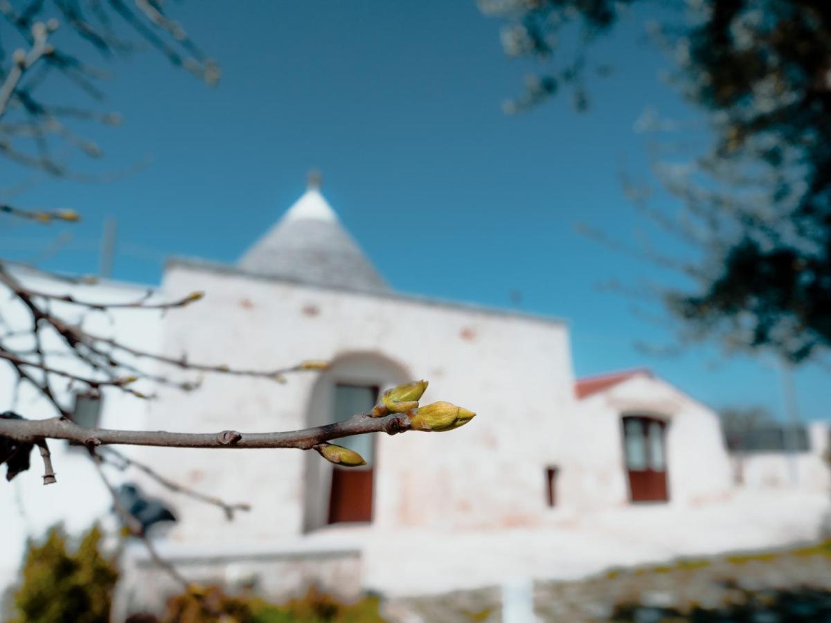 Rifugio Di Puglia - Trulli & Dimore Αλμπερομπέλο Εξωτερικό φωτογραφία